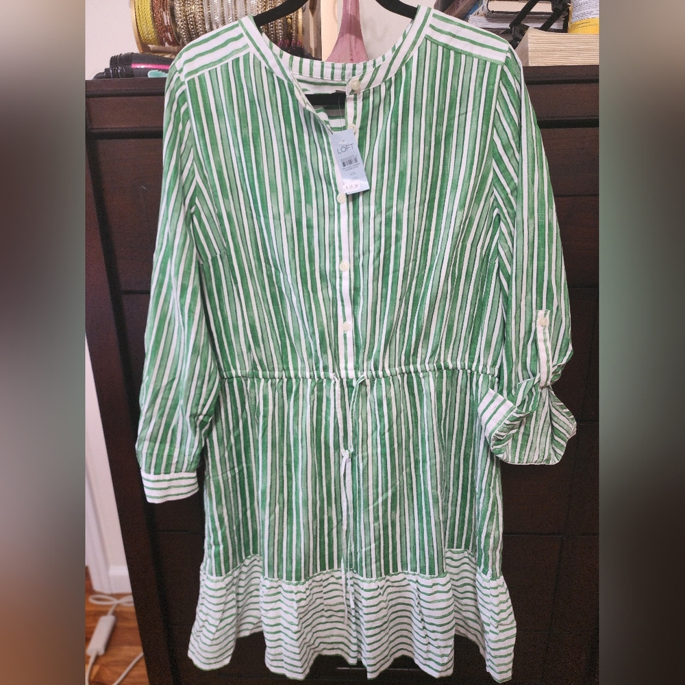 Ann Taylor Loft Petite XXL Dress